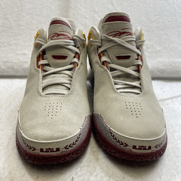 Nike Zoom Lebron NXXT Gen AMPD TYP Cavaliers Basketball USC FZ7890-001 Men's 10 - Picture 5 of 13